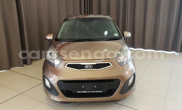 Acheter Occasion Voiture Kia Picanto Autre à Big Bend, Lubombo