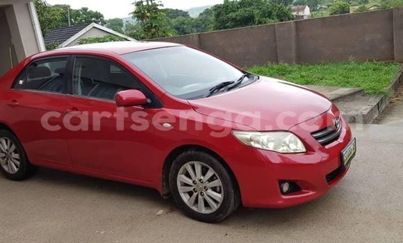 Buy Used Toyota Corolla Red Car in Mbabane in Manzini Buy Used Toyota Corolla Red Car in Mbabane in Manzini
