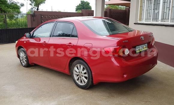 Buy Used Toyota Corolla Red Car in Mbabane in Manzini Buy Used Toyota Corolla Red Car in Mbabane in Manzini