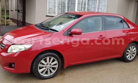 Buy Used Toyota Corolla Red Car in Mbabane in Manzini Buy Used Toyota Corolla Red Car in Mbabane in Manzini
