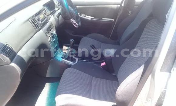 Nunua Ilio tumika Toyota Runx Silver Gari ndani ya Bhunya nchini Manzini Nunua Ilio tumika Toyota Runx Silver Gari ndani ya Bhunya nchini Manzini