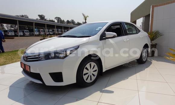 Acheter Occasion Voiture Toyota Corolla Blanc à Big Bend, Lubombo Acheter Occasion Voiture Toyota Corolla Blanc à Big Bend, Lubombo