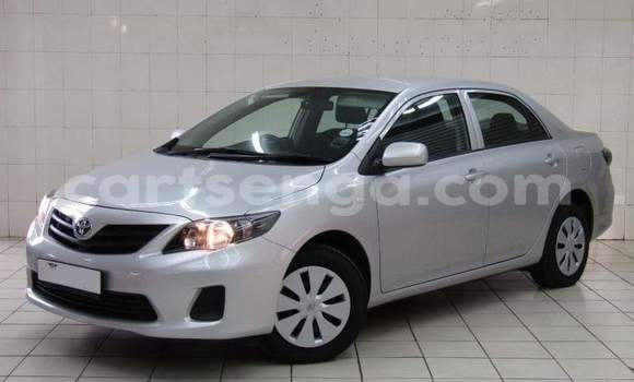 Buy Used Toyota Corolla Silver Car in Ezulwini in Hhohho Buy Used Toyota Corolla Silver Car in Ezulwini in Hhohho