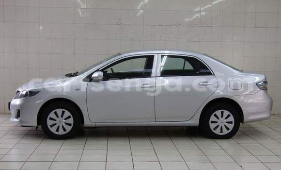 Buy Used Toyota Corolla Silver Car in Ezulwini in Hhohho Buy Used Toyota Corolla Silver Car in Ezulwini in Hhohho