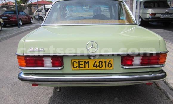 Nunua Ilio tumika Mercedes‒Benz 230 Green Gari ndani ya Mbabane nchini Manzini Nunua Ilio tumika Mercedes‒Benz 230 Green Gari ndani ya Mbabane nchini Manzini