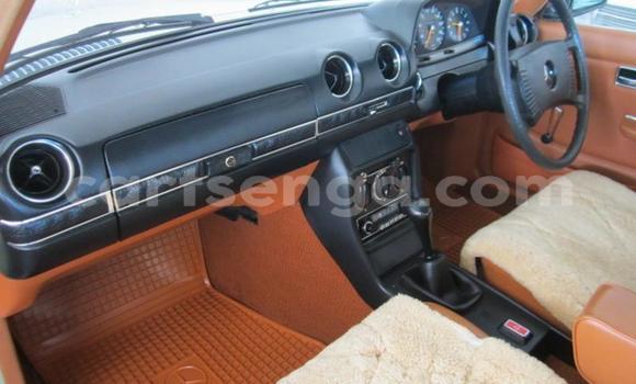 Nunua Ilio tumika Mercedes‒Benz 230 Green Gari ndani ya Mbabane nchini Manzini Nunua Ilio tumika Mercedes‒Benz 230 Green Gari ndani ya Mbabane nchini Manzini