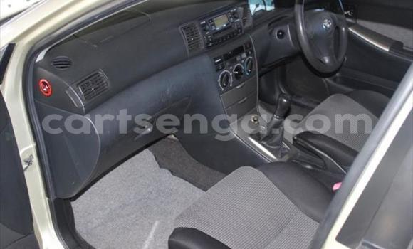 Nunua Ilio tumika Toyota Runx Other Gari ndani ya Mbabane nchini Manzini Nunua Ilio tumika Toyota Runx Other Gari ndani ya Mbabane nchini Manzini