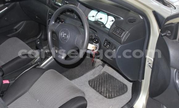 Nunua Ilio tumika Toyota Runx Other Gari ndani ya Mbabane nchini Manzini Nunua Ilio tumika Toyota Runx Other Gari ndani ya Mbabane nchini Manzini