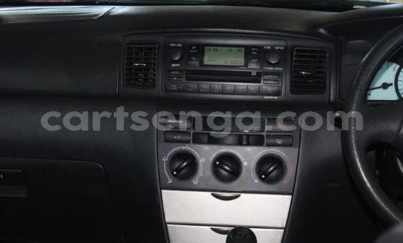 Nunua Ilio tumika Toyota Runx Other Gari ndani ya Mbabane nchini Manzini Nunua Ilio tumika Toyota Runx Other Gari ndani ya Mbabane nchini Manzini