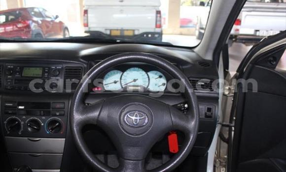 Nunua Ilio tumika Toyota Runx Other Gari ndani ya Mbabane nchini Manzini Nunua Ilio tumika Toyota Runx Other Gari ndani ya Mbabane nchini Manzini