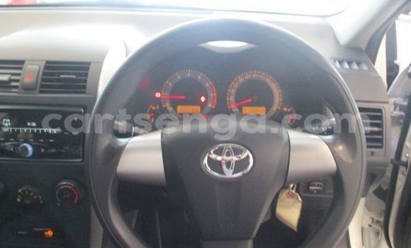 Nunua Ilio tumika Toyota Corolla White Gari ndani ya Big Bend nchini Lubombo Nunua Ilio tumika Toyota Corolla White Gari ndani ya Big Bend nchini Lubombo