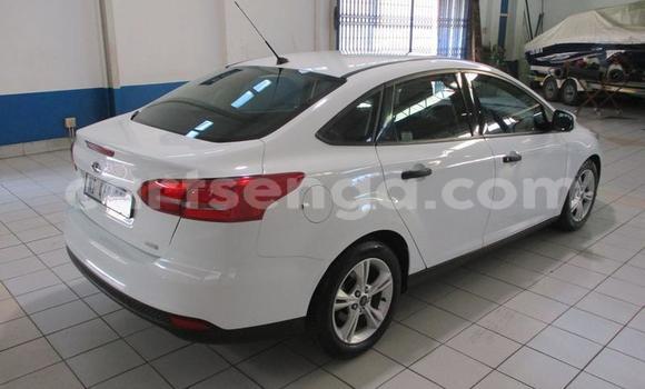 Acheter Occasion Voiture Ford Focus Blanc à Mbabane, Manzini Acheter Occasion Voiture Ford Focus Blanc à Mbabane, Manzini