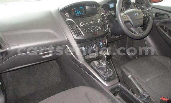 Acheter Occasion Voiture Ford Focus Blanc à Mbabane, Manzini Acheter Occasion Voiture Ford Focus Blanc à Mbabane, Manzini