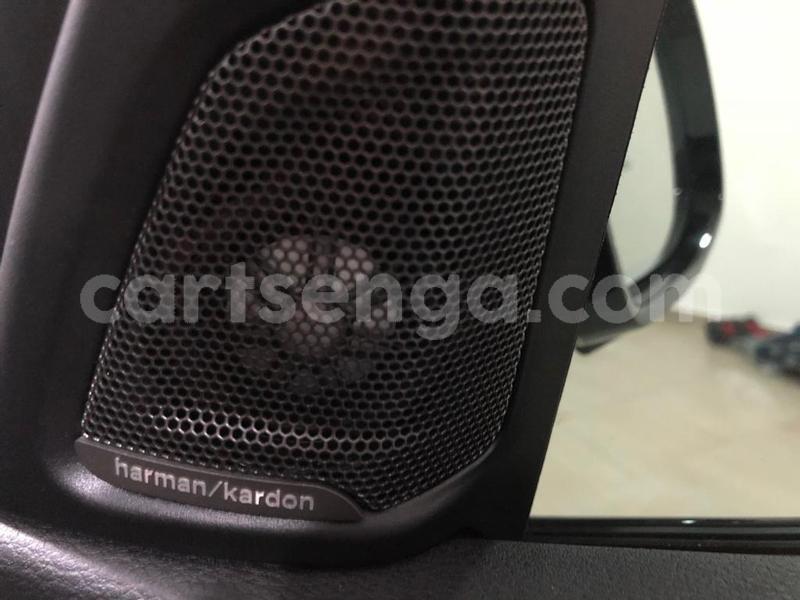 Big with watermark 800 23 