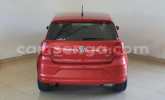Acheter Occasion Voiture Volkswagen Polo Rouge à Manzini, Manzini Acheter Occasion Voiture Volkswagen Polo Rouge à Manzini, Manzini