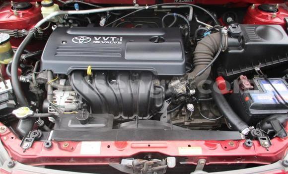 Acheter Occasion Voiture Toyota Runx Rouge à Manzini, Manzini Acheter Occasion Voiture Toyota Runx Rouge à Manzini, Manzini