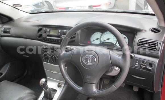 Acheter Occasion Voiture Toyota Runx Rouge à Manzini, Manzini Acheter Occasion Voiture Toyota Runx Rouge à Manzini, Manzini