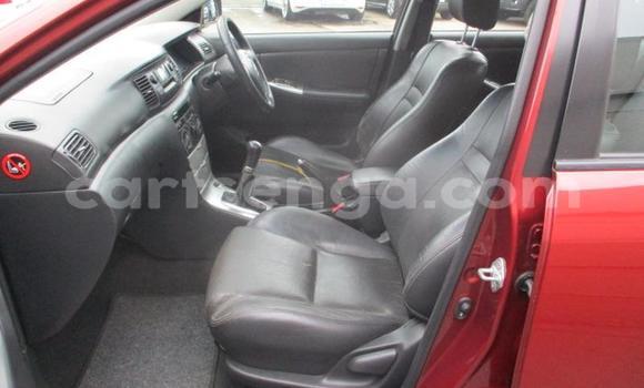 Acheter Occasion Voiture Toyota Runx Rouge à Manzini, Manzini Acheter Occasion Voiture Toyota Runx Rouge à Manzini, Manzini