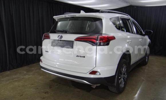 Nunua Ilio tumika Toyota RAV4 White Gari ndani ya Mbabane nchini Manzini Nunua Ilio tumika Toyota RAV4 White Gari ndani ya Mbabane nchini Manzini