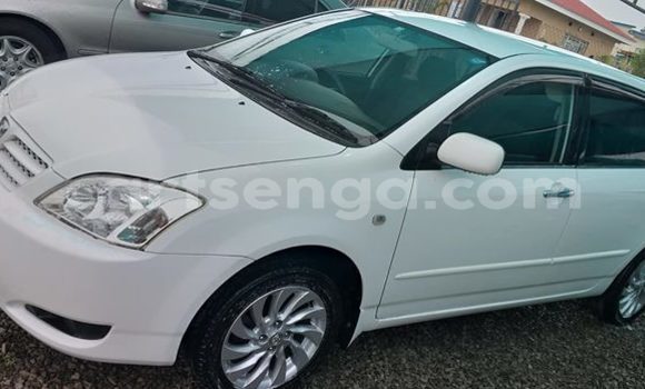 Nunua Ilio tumika Toyota Runx White Gari ndani ya Nhlangano nchini Wilaya ya Shiselweni Nunua Ilio tumika Toyota Runx White Gari ndani ya Nhlangano nchini Wilaya ya Shiselweni
