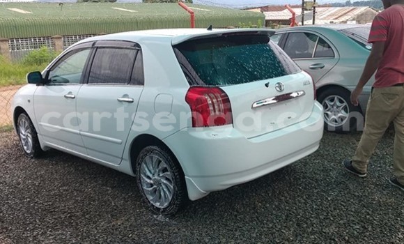 Nunua Ilio tumika Toyota Runx White Gari ndani ya Nhlangano nchini Wilaya ya Shiselweni Nunua Ilio tumika Toyota Runx White Gari ndani ya Nhlangano nchini Wilaya ya Shiselweni