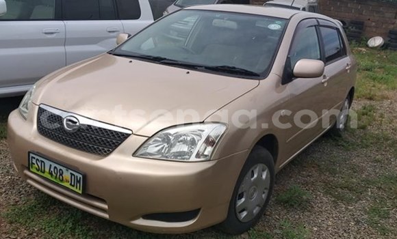 Nunua Ilio tumika Toyota Runx Brown Gari ndani ya Nhlangano nchini Wilaya ya Shiselweni Nunua Ilio tumika Toyota Runx Brown Gari ndani ya Nhlangano nchini Wilaya ya Shiselweni