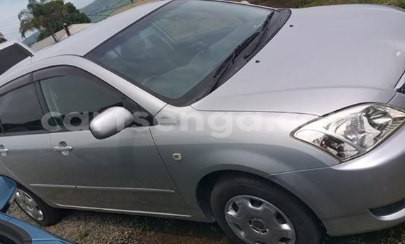 Nunua Ilio tumika Toyota Runx Silver Gari ndani ya Nhlangano nchini Wilaya ya Shiselweni Nunua Ilio tumika Toyota Runx Silver Gari ndani ya Nhlangano nchini Wilaya ya Shiselweni