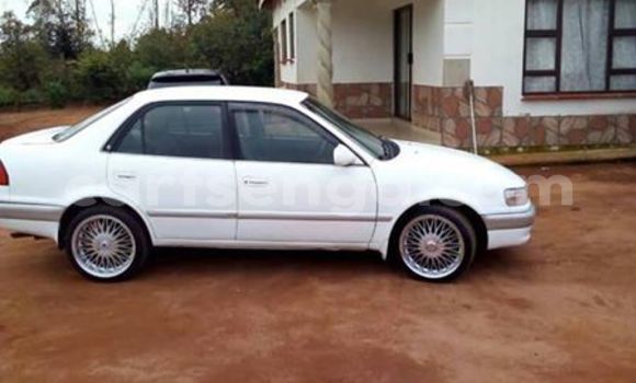 Buy Used Toyota Corolla White Car in Mbabane in Manzini Buy Used Toyota Corolla White Car in Mbabane in Manzini