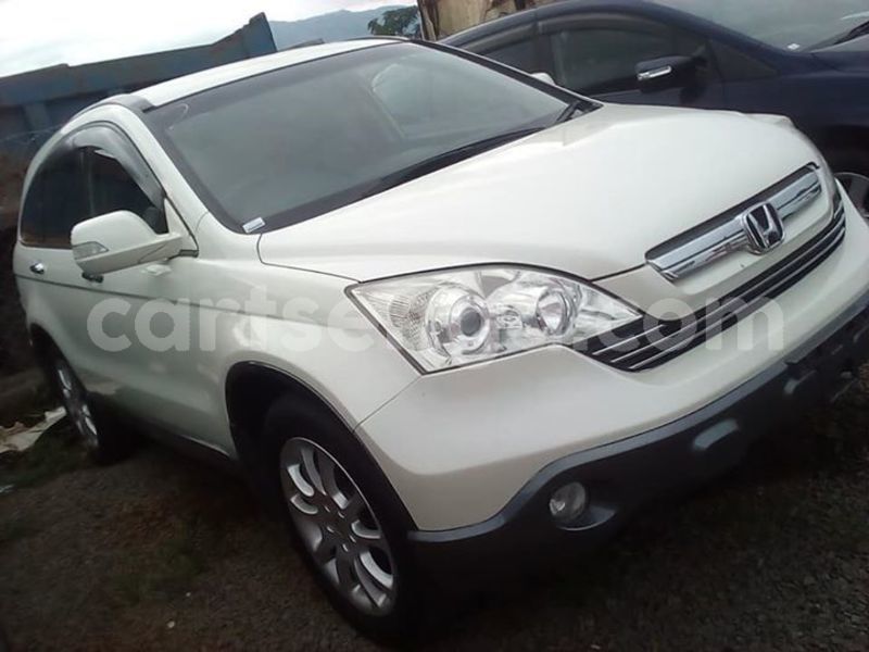 Big with watermark 52360948 249182089336166 8590068728123621376 n