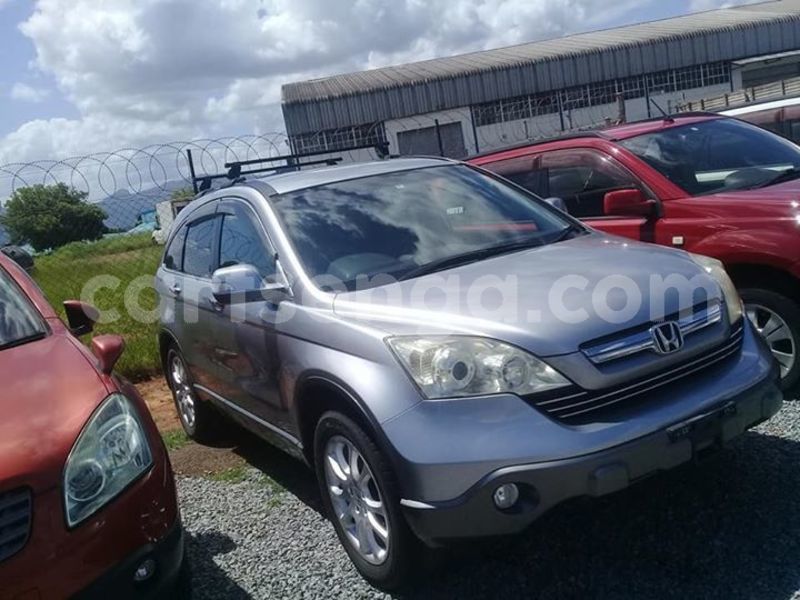 Big with watermark 51966251 249182152669493 8309683015248773120 n