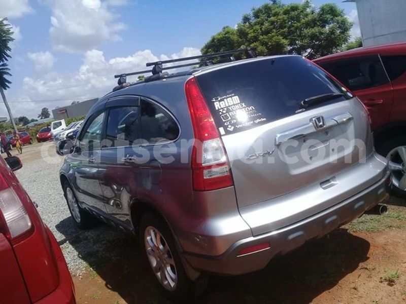 Big with watermark 51596286 249182122669496 7418430387400998912 n