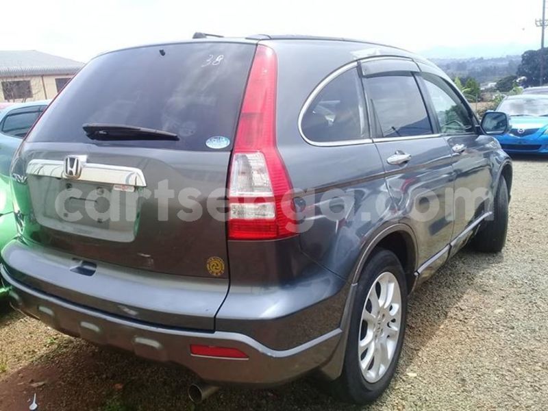 Big with watermark 51604186 249182049336170 5242135901210935296 n