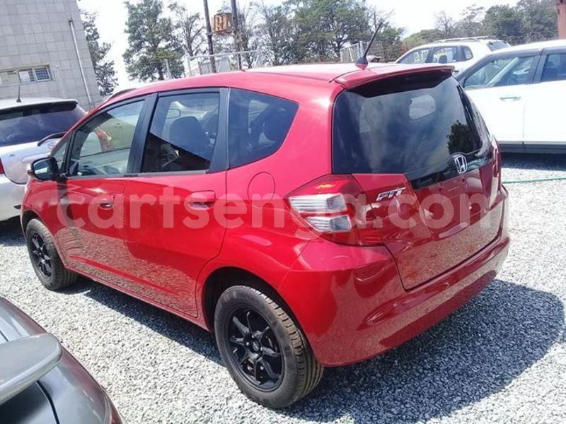 Big with watermark 51630110 248700019384373 8069331946670391296 n