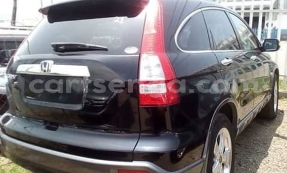 Buy Used Honda CR–V Other Car in Mbabane in Manzini Buy Used Honda CR–V Other Car in Mbabane in Manzini