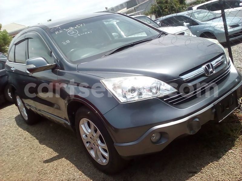 Big with watermark 52051098 238813490333507 4005869508253188096 o