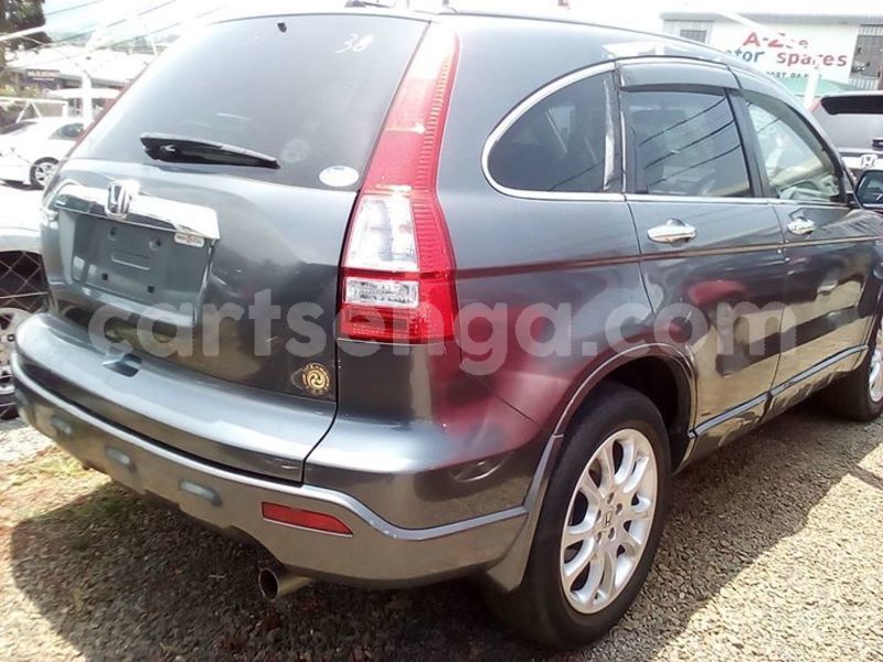 Big with watermark 52013957 238813510333505 3344431655472332800 o