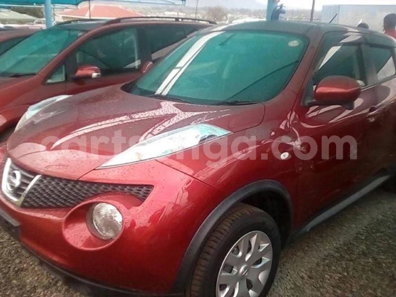 Big with watermark 52274834 238243260390530 2093843122835423232 n