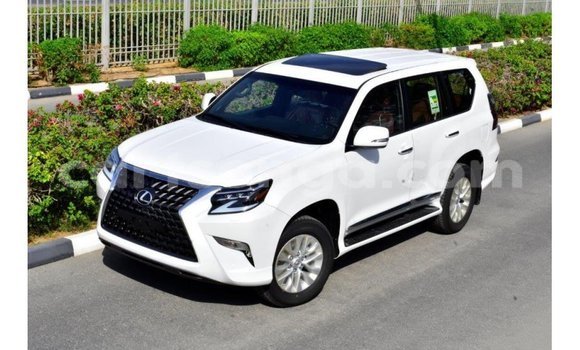 Buy Import Lexus GX White Car in Import - Dubai in Hhohho Buy Import Lexus GX White Car in Import - Dubai in Hhohho