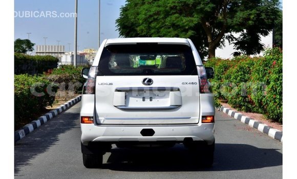 Buy Import Lexus GX White Car in Import - Dubai in Hhohho Buy Import Lexus GX White Car in Import - Dubai in Hhohho