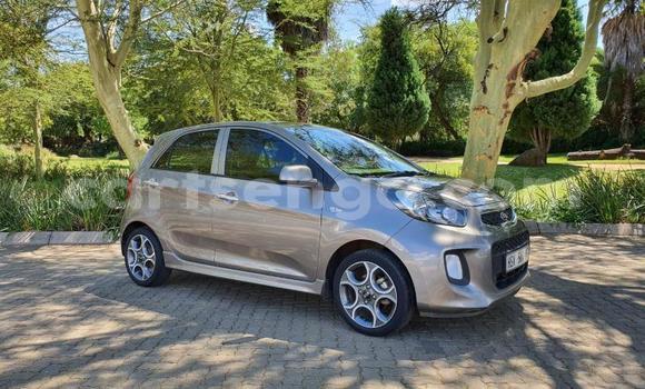 Acheter Occasion Voiture Kia Picanto Autre à Mbabane, Manzini Acheter Occasion Voiture Kia Picanto Autre à Mbabane, Manzini