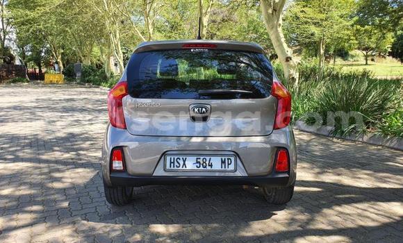 Acheter Occasion Voiture Kia Picanto Autre à Mbabane, Manzini Acheter Occasion Voiture Kia Picanto Autre à Mbabane, Manzini