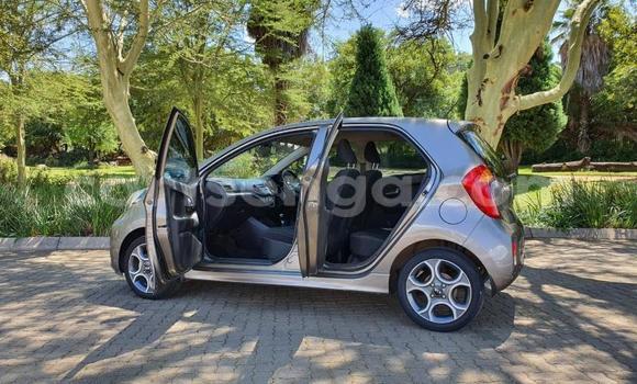 Acheter Occasion Voiture Kia Picanto Autre à Mbabane, Manzini Acheter Occasion Voiture Kia Picanto Autre à Mbabane, Manzini