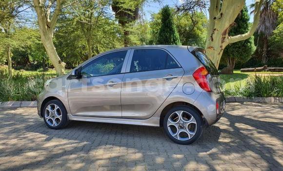 Acheter Occasion Voiture Kia Picanto Autre à Mbabane, Manzini Acheter Occasion Voiture Kia Picanto Autre à Mbabane, Manzini