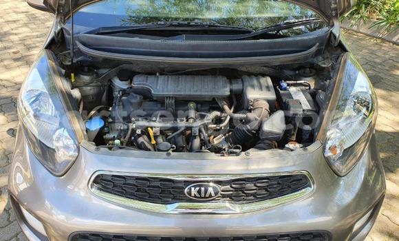 Acheter Occasion Voiture Kia Picanto Autre à Mbabane, Manzini Acheter Occasion Voiture Kia Picanto Autre à Mbabane, Manzini