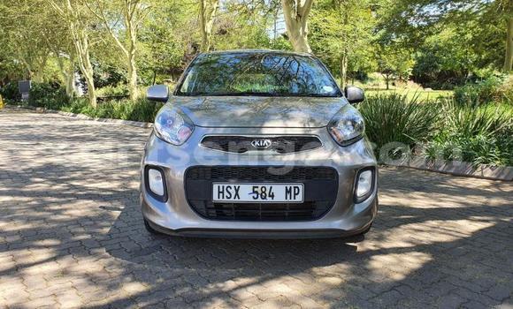 Acheter Occasion Voiture Kia Picanto Autre à Mbabane, Manzini Acheter Occasion Voiture Kia Picanto Autre à Mbabane, Manzini