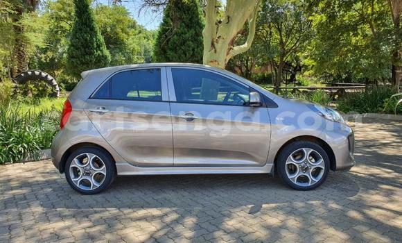 Acheter Occasion Voiture Kia Picanto Autre à Mbabane, Manzini Acheter Occasion Voiture Kia Picanto Autre à Mbabane, Manzini