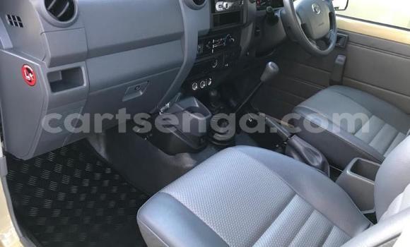 Buy Used Toyota Land Cruiser Beige Car in Ezulwini in Hhohho Buy Used Toyota Land Cruiser Beige Car in Ezulwini in Hhohho