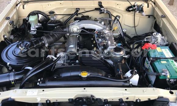 Buy Used Toyota Land Cruiser Beige Car in Ezulwini in Hhohho Buy Used Toyota Land Cruiser Beige Car in Ezulwini in Hhohho