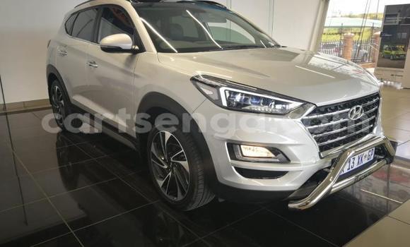 Buy Used Hyundai Tucson Silver Car in Mbabane in Manzini Buy Used Hyundai Tucson Silver Car in Mbabane in Manzini