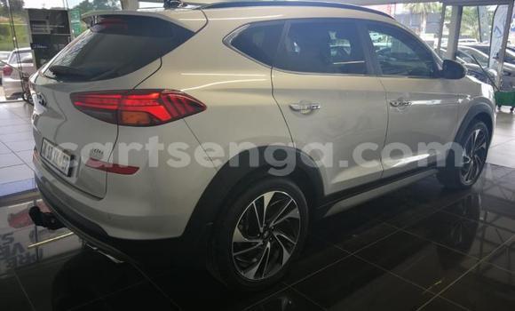 Buy Used Hyundai Tucson Silver Car in Mbabane in Manzini Buy Used Hyundai Tucson Silver Car in Mbabane in Manzini